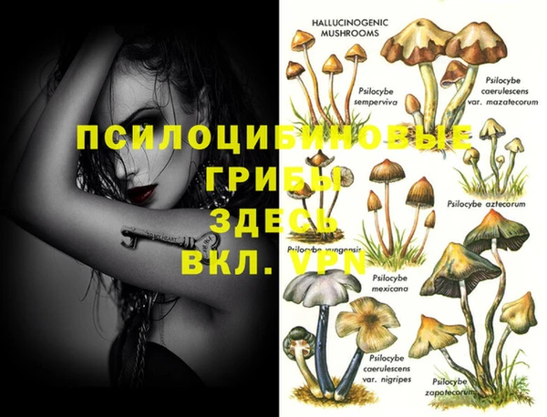 mix Алексеевка