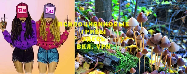 mix Алексин