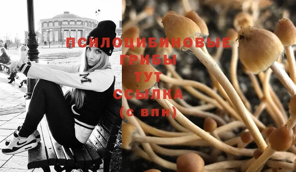 mix Алексеевка