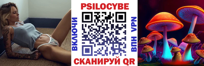 Галлюциногенные грибы MAGIC MUSHROOMS  закладка  Углич 