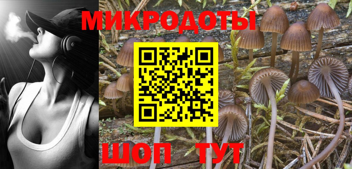 Углич  Псилоцибиновые грибы MAGIC MUSHROOMS  Вход с VPN  Псилоцибиновые грибы мицелий 